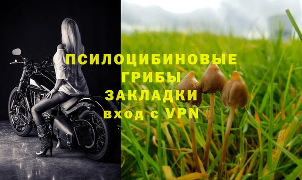 mix Алексеевка
