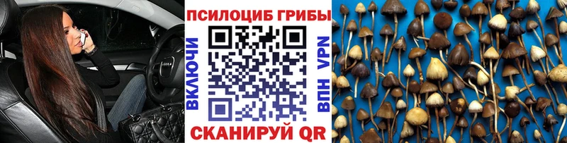 дарнет шоп  Константиновск  Галлюциногенные грибы мухоморы 